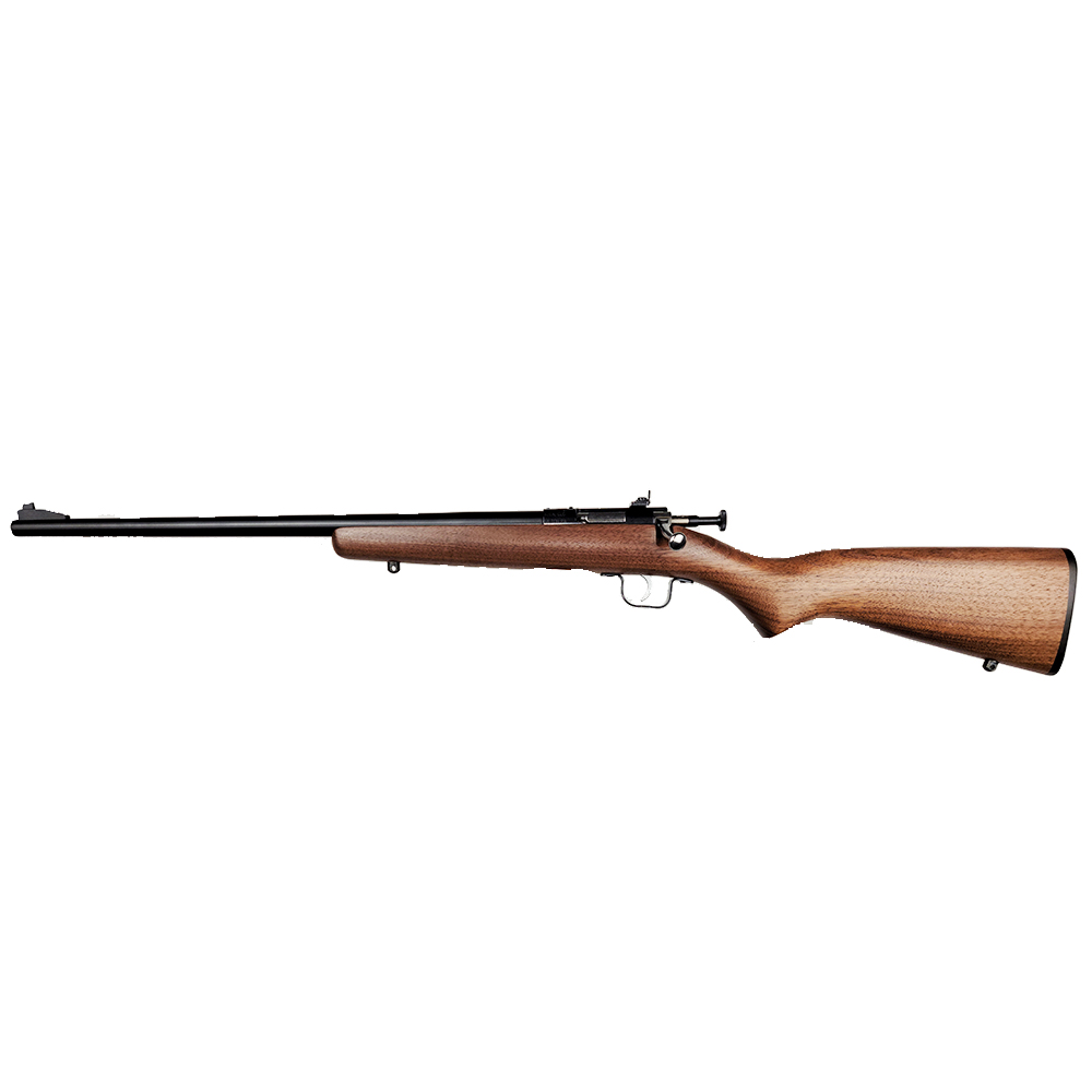 Chipmunk 0001LH Youth 22 LR 1rd 16.13” Blued Steel Barrel & Receiver...