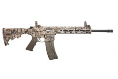 Smith and Wesson M&P15-22 Sport 22 LR