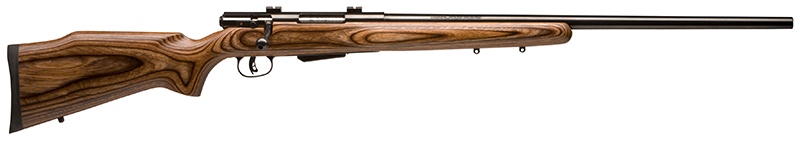 Savage Arms 25 LIGHTWEIGHT VARMINT 22 HORNET