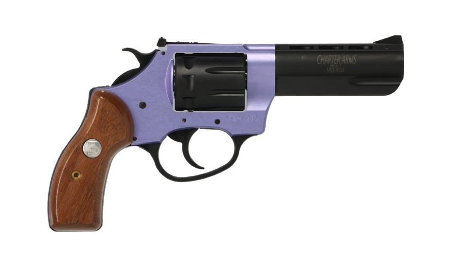 Charter Arms Pathfinder II 22 LR - CHARTER ARMS - 22 LR