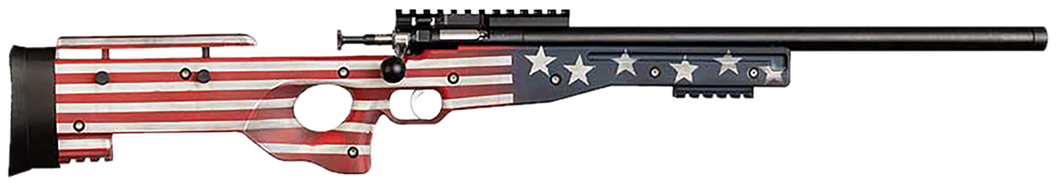 Keystone Sporting Arms Crickett Precision Rifle — CRICKETT CPR 22LR OLD GLORY