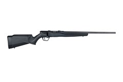 Savage Arms B17FV 17 HMR