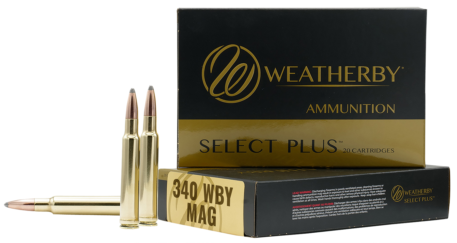 340WBY 225GR HORNADY INTERLOCK