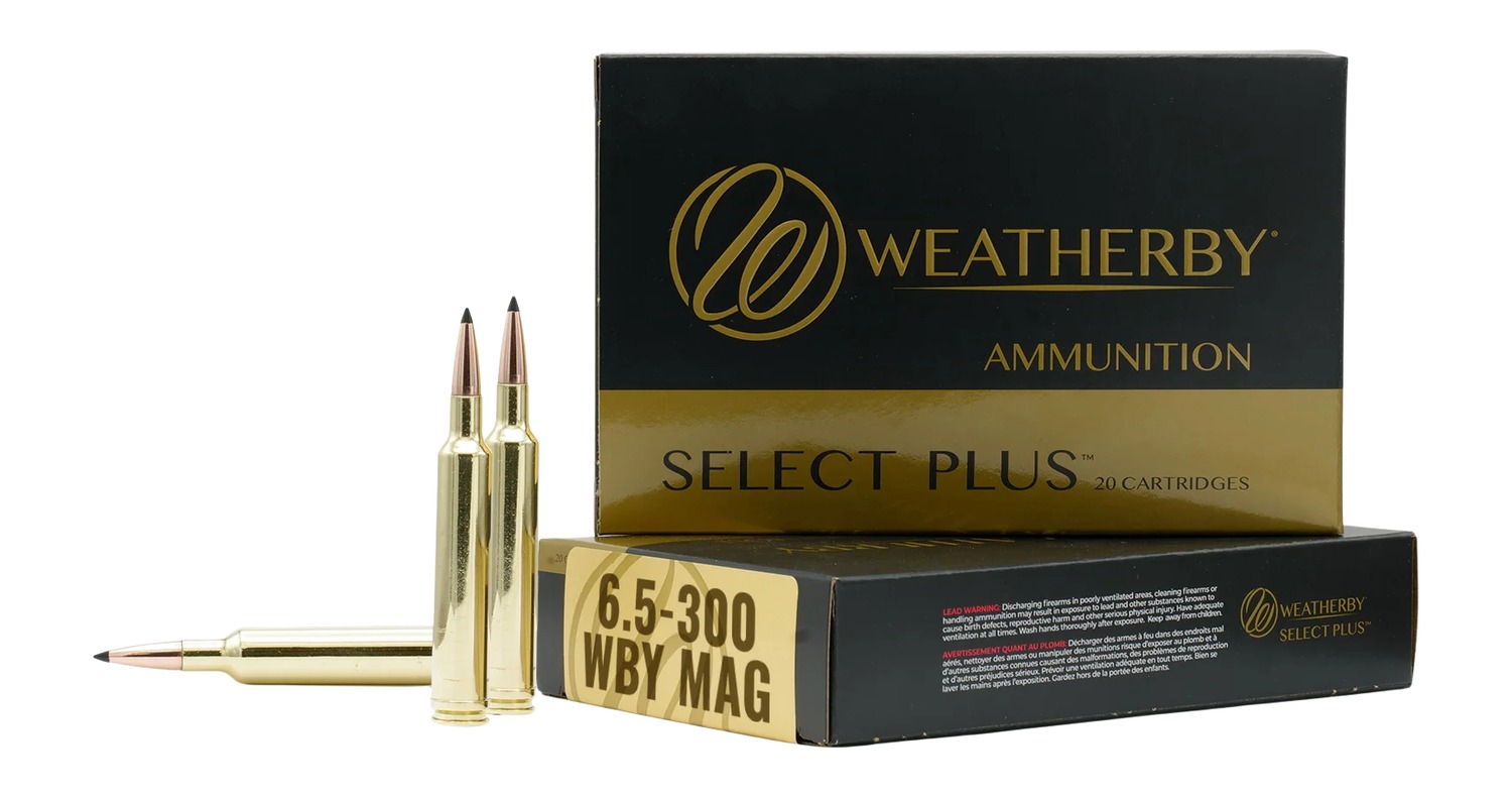 6.5-300WBY 129GR HAMMER CUSTOM