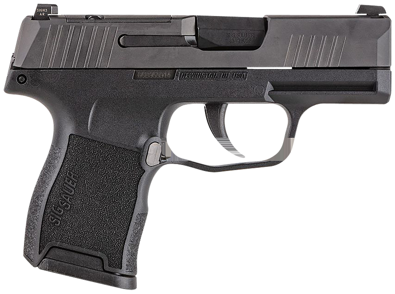P365 380ACP BLK 10+1 NS