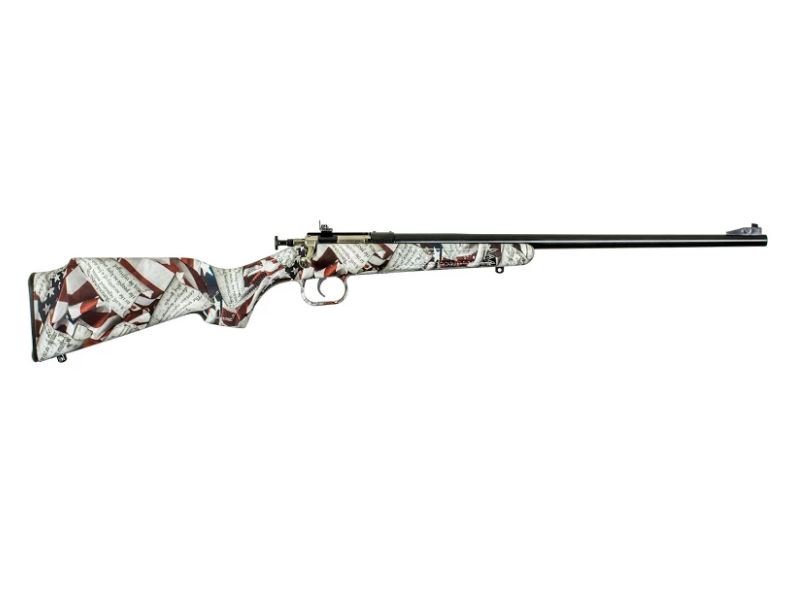 Keystone Crickett KSA2168 .22 LR 16.125 in Blued Single Shot Bolt Action