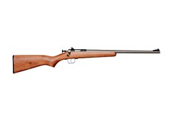 Keystone Sporting Arms Crickett 22 LR