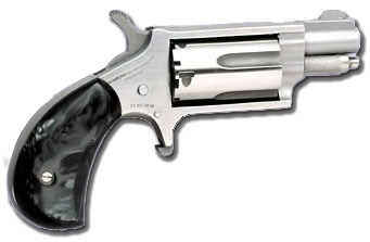 NAA NAA-22MS-GP-B Mini-Revolver 22 Magnum 1 1/8" Stainless 5-Shot