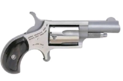 NAA NAA-22M-GP-B Mini-Revolver 22 Magnum 1 5/8" Stainless 5-Shot