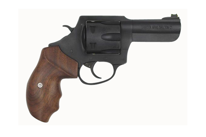 Charter Arms The PROFESSIONAL III 357 Magnum Revolver