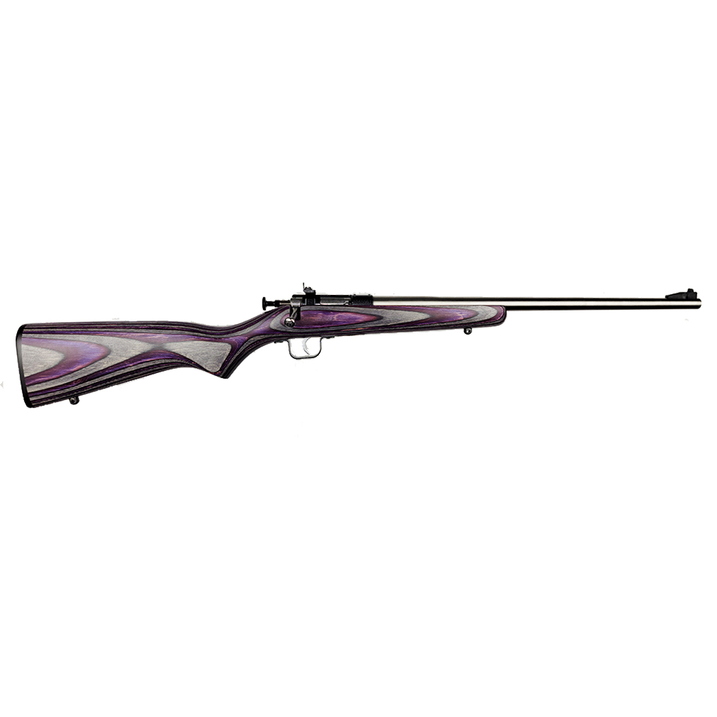 Crickett KSA2228 Youth 22 LR Rifle 16.12" Stainless Purple Stock