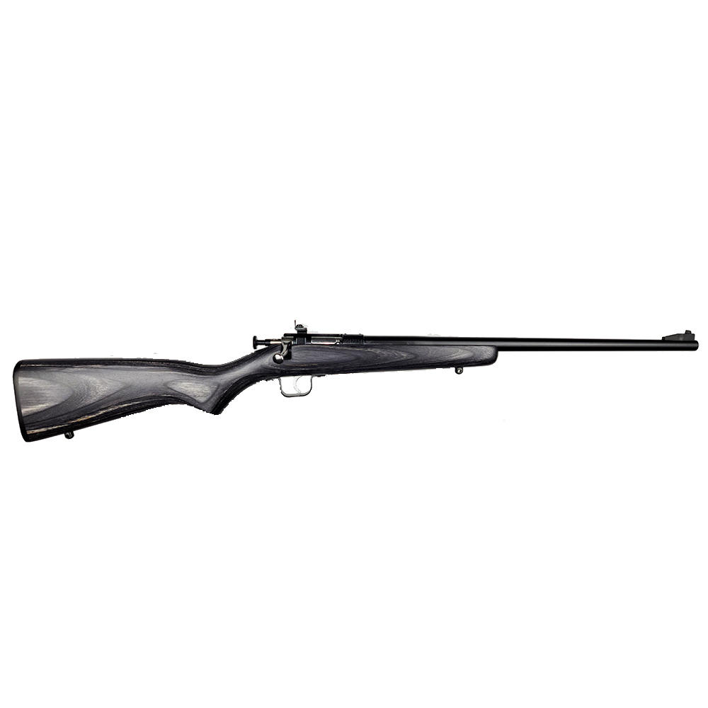 Crickett KSA2244 Youth 22 LR 1rd 16.12” Blued Barrel & Receiver Fixed