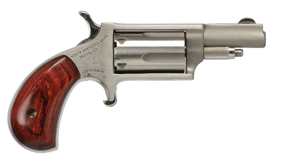 NAA NAA-22MSTD Mini Revolver 22 Magnum 1.625" Stainless Revolver