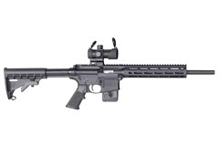 Smith and Wesson M&P15-22 Sport OR 22 LR